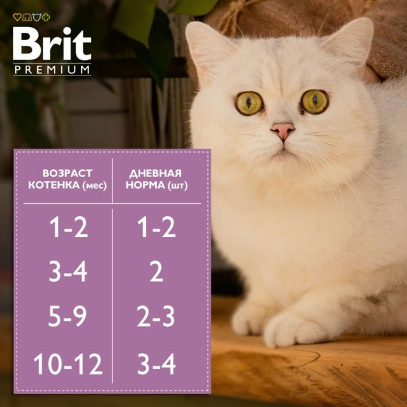 Brit - Пауч для котят, с Кроликом в желе, 85 гр