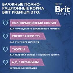 Brit - Пауч для котят, с Кроликом в желе, 85 гр