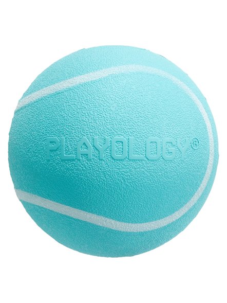 Playology - Жевательный мяч SQUEAKY CHEW BALL 8 см для собак средних и крупных пород с пищалкой и с ароматом