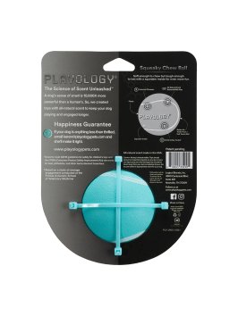 Playology - Жевательный мяч SQUEAKY CHEW BALL 8 см для собак средних и крупных пород с пищалкой и с ароматом