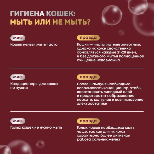 Iv San Bernard Just for Cats Keratin — восстанавливающий шампунь для любого типа шерсти