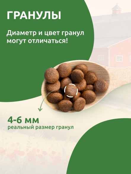 Statera - Сухой полнорационный корм для котят с индейкой