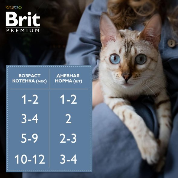 Brit - Пауч для котят, с Телятиной и Морковью в желе, 85 гр