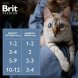 Brit - Пауч для котят, с Телятиной и Морковью в желе, 85 гр