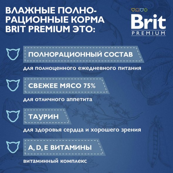 Brit - Пауч для котят, с Телятиной и Морковью в желе, 85 гр
