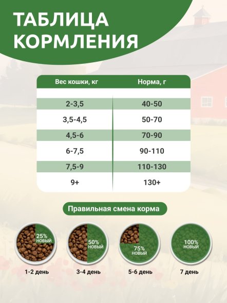 Statera - Сухой полнорационный корм для взрослых кошек и котов с говядиной
