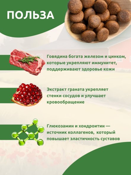 Statera - Сухой полнорационный корм для взрослых кошек и котов с говядиной