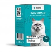 Smart Cat паучи - Набор паучей 5+1 в подарок для взрослых кошек и котят: кусочки лосося в нежном соусе 510гр