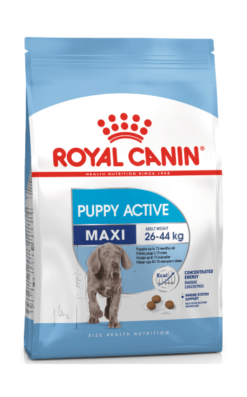 Royal Canin Maxi Puppy Active - Сухой корм для активных щенков крупных пород