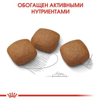 Royal Canin Maxi Joint Care - Корм для крупных пород собак с чувствительными суставами
