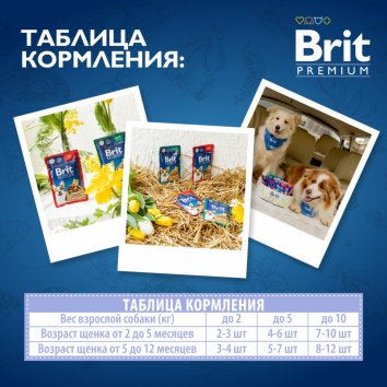 Brit - Пауч для щенков всех пород, с Телятиной в соусе, 85 гр