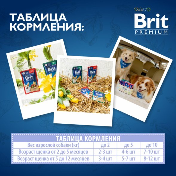 Brit - Пауч для щенков всех пород, с Телятиной в соусе, 85 гр