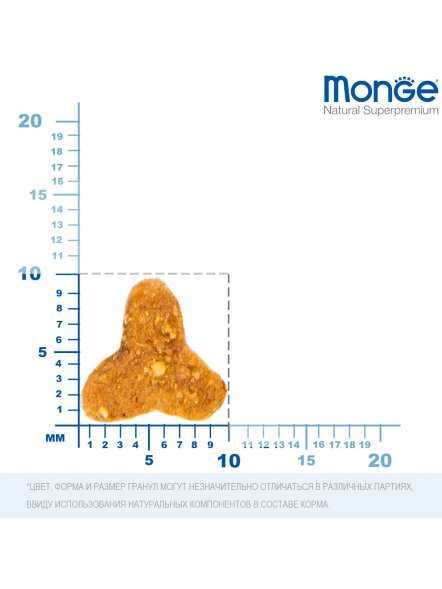 Monge Senior - Корм для пожилых кошек