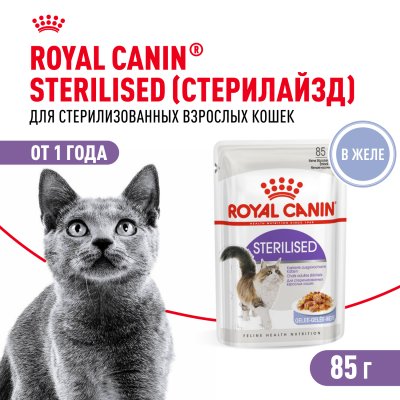 Royal Canin Sterilised - Влажный корм для стерилизованных кошек и кастрированных котов в желе 85гр Royal Canin Sterilised - Влажный корм для стерилизованных кошек и кастрированных котов в желе 85гр