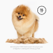 FURminator - Фурминатор XS для миниатюрных собак с длинной шерстью