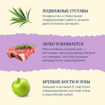 Avance Холистик Maxi Adult - Полнорационный сухой корм для взрослых собак крупных пород, с Ягненком, Индейкой и Бурым Рисом