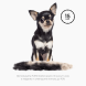 FURminator - Фурминатор XS для миниатюрных собак с короткой шерстью