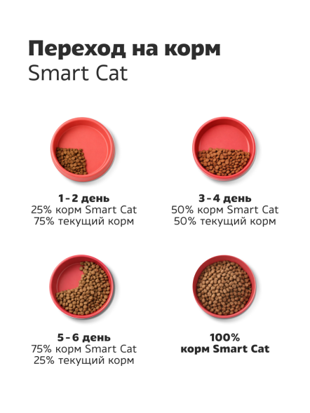 Smart Cat - Сухой корм для котят, с Ягненком