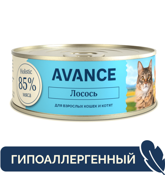 Avance - Консервы для кошек и котят, с Лососем, 100 гр