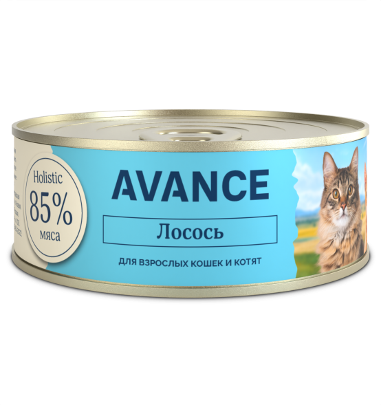 Avance - Консервы для кошек и котят, с Лососем, 100 гр