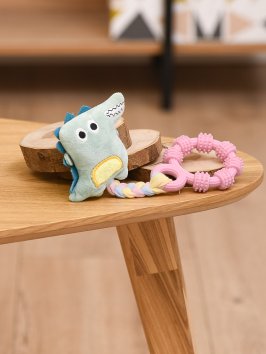 PetSHOP - Игрушка для собак, кольцо на канате с игрушкой, 22 см