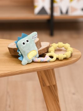 PetSHOP - Игрушка для собак, кольцо на канате с игрушкой, 22 см