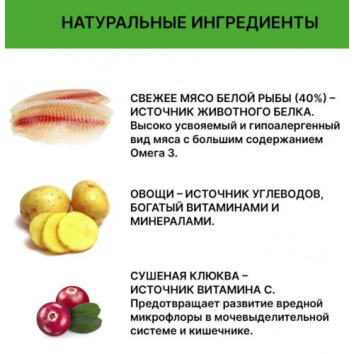 Holistoff - Сухой корм для стерилизованных котов и кошек Холистик, беззерновой, с белой рыбой и овощами