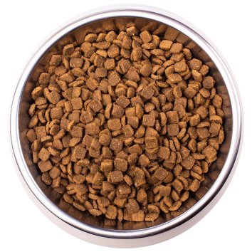Monge VetSolution Dermatosis - Диетический корм для кошек, при заболеваниях кожи