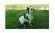 Cortina Faloria - Супер прочная шлейка для собак неоновый желтый