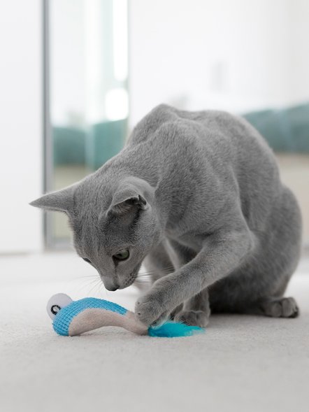 Petstages - Игрушка Dental &amp;quot;Креветки&amp;quot;, для кошек, с кошачьей мятой, 2 шт, 7 см