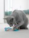 Petstages - Игрушка Dental &amp;quot;Креветки&amp;quot;, для кошек, с кошачьей мятой, 2 шт, 7 см
