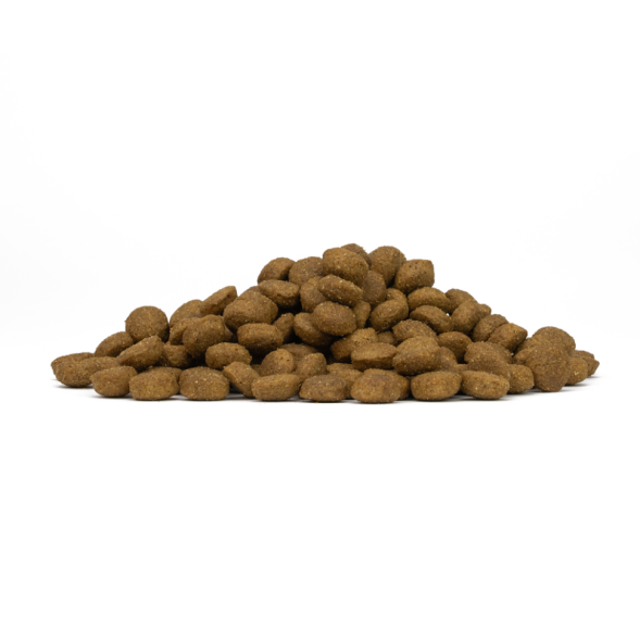 Forza10 Active Vet Diet Colon Fase 2 Intestinal - Сухой корм для собак мелких пород, при хронических колитах