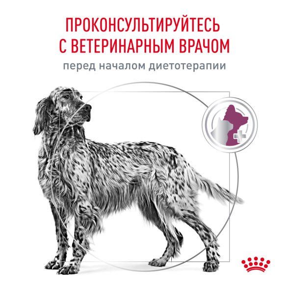 Royal Canin Renal RF14 - Сухой корм для собак при почечной недостаточности