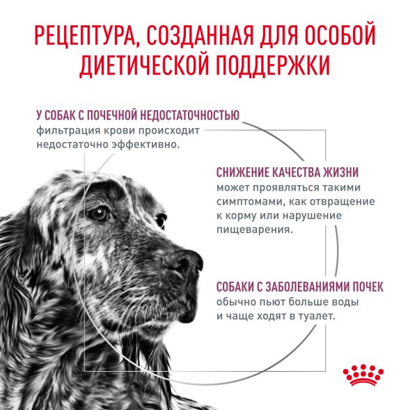 Royal Canin Renal RF14 - Сухой корм для собак при почечной недостаточности