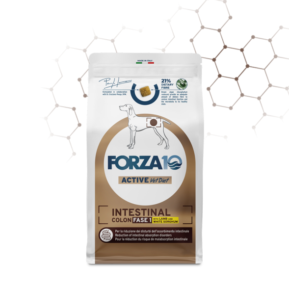 Forza10 Active Vet Diet Colon Fase 1 Intestinal - Сухой корм для собак Всех пород при хронических колитах, с Ягненком и Белым Сорго