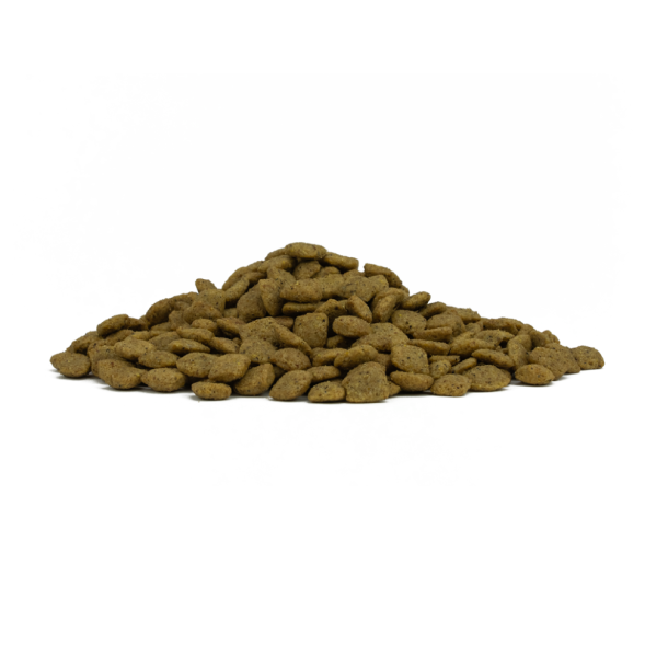 Forza10 Active Vet Diet Colon Fase 1 Intestinal - Сухой корм для собак Всех пород при хронических колитах, с Ягненком и Белым Сорго