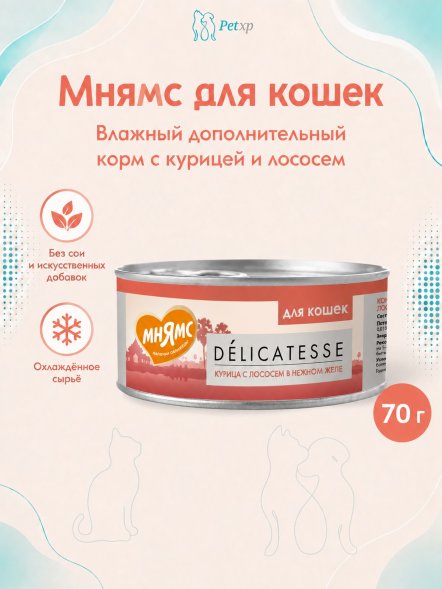 Мнямс - Влажный дополнительный корм для кошек, Курица с лососем в нежном желе 70 г