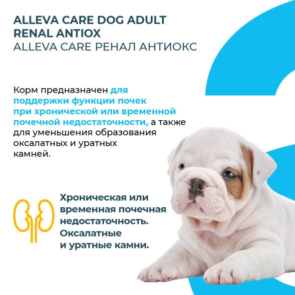 Alleva Care Renal-Antiox - Корм для взрослых собак, при Почечной недостаточности и Мочекаменной болезни
