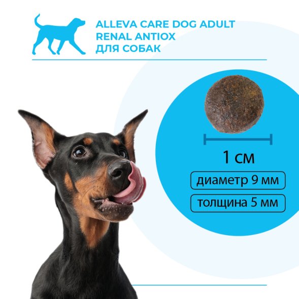 Alleva Care Renal-Antiox - Корм для взрослых собак, при Почечной недостаточности и Мочекаменной болезни
