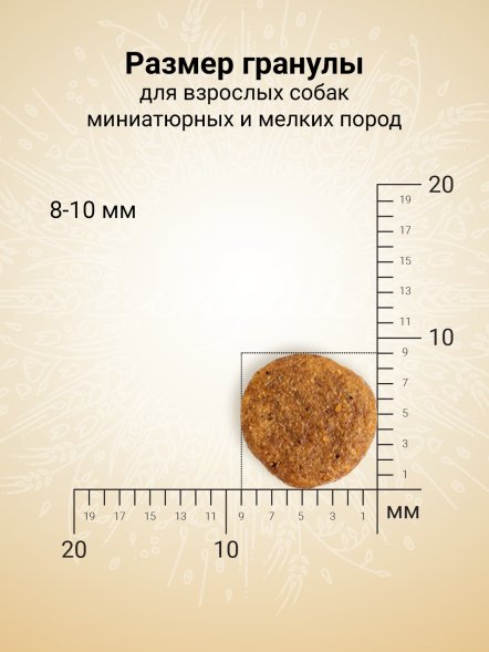 Craftia Natura - Сухой корм для взрослых собак, миниатюрных и мелких пород, из Ягненка с Перепелкой