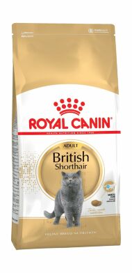 39441.190x0 Royal Canin Queen 34 - Syhoi korm dlya koshek v period techki, beremennosti i laktacii 4 kg kypit v zoomagazine «PetXP» Royal Canin British Shorthair 34 - Сухой корм для Британских короткошерстных кошек