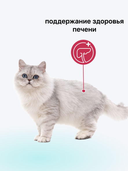 Organix Preventive Hepatic - Сухой корм для кошек, Поддержание здоровья печени, (Профилактика)
