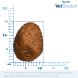 Monge VetSolution Obesity - Диетический корм для собак, при избыточном весе 12 кг