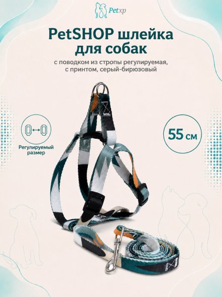 PetSHOP - Шлейка с поводком для собак из стропы регулируемая, с принтом, серый-бирюзовый