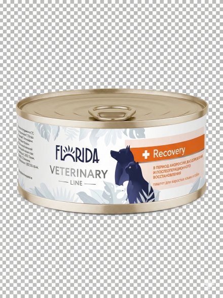 Florida Vet Recovery - Корм консервированный полнорационный диетический для взрослых кошек и собак в период анорексии, выздоровления и послеоперационного восстановления, 100гр