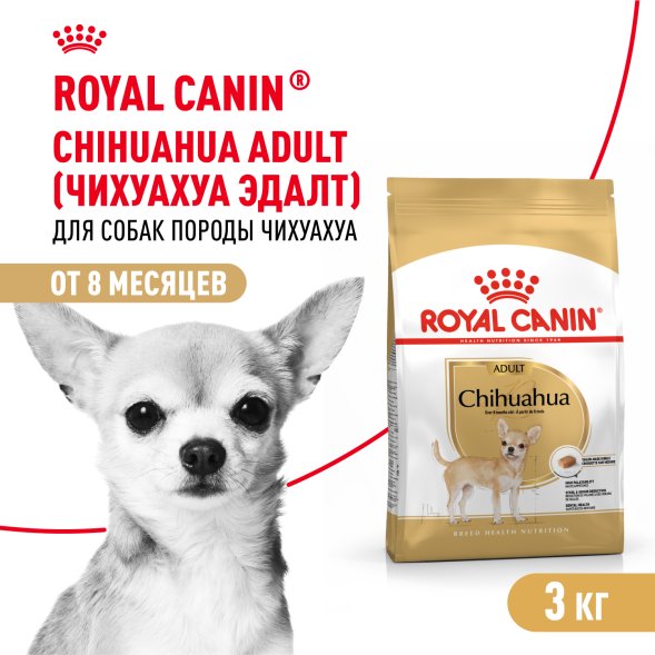 Royal Canin Chihuahua Adult - Сухой корм для собак породы чихуахуа
