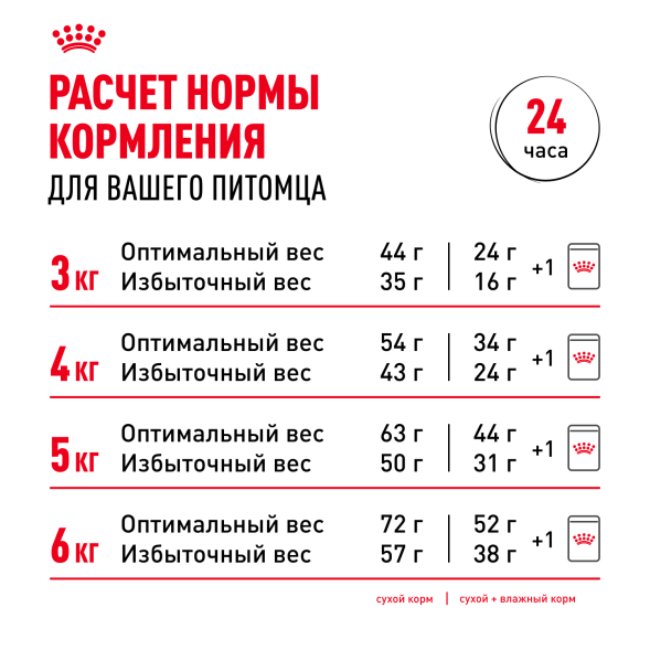 Royal Canin Ageing +12 - Влажный корм для кошек старше 12 лет, в желе 85гр