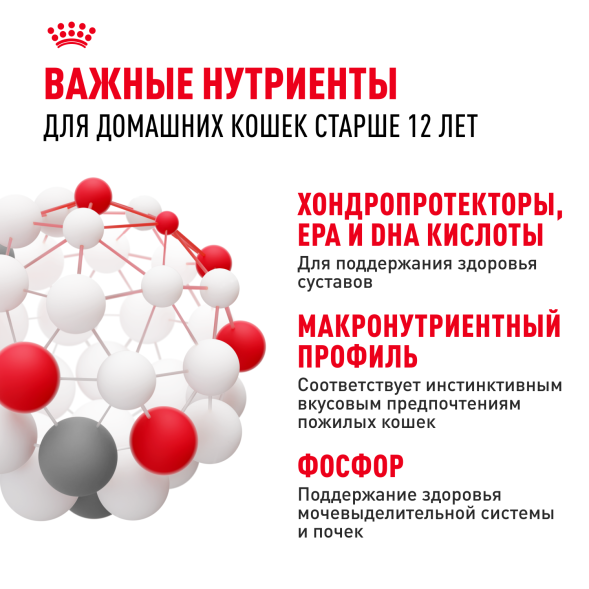Royal Canin Ageing +12 - Влажный корм для кошек старше 12 лет, в желе 85гр