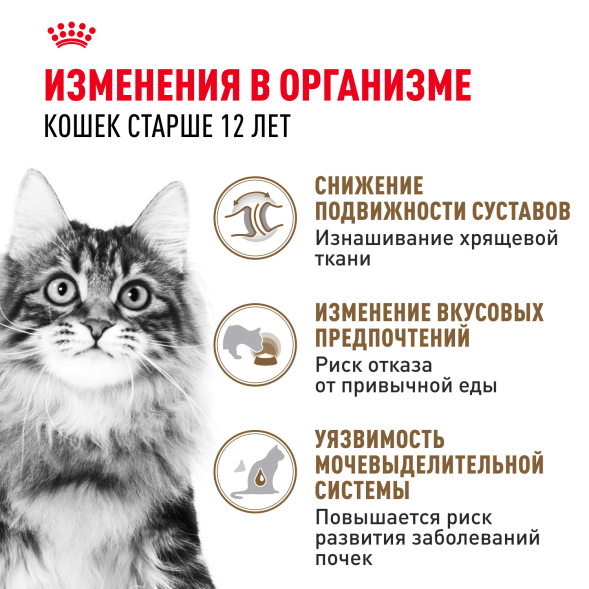 Royal Canin Ageing +12 - Влажный корм для кошек старше 12 лет, в желе 85гр