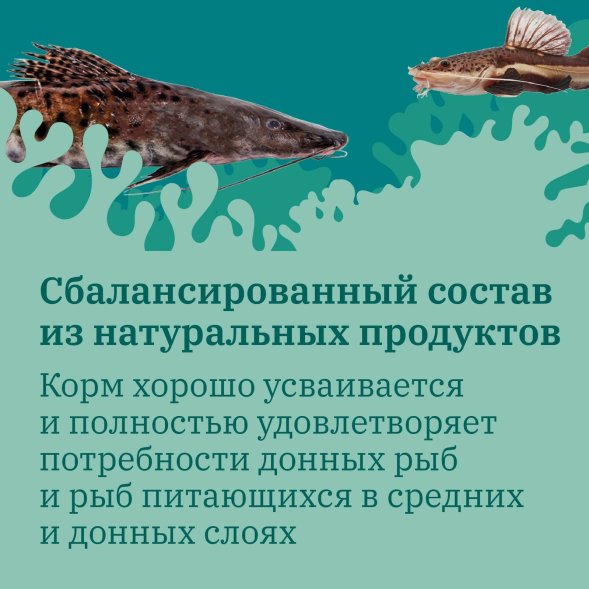 MR.Fisher - Повседневный гранулированный корм для донных рыб 30гр